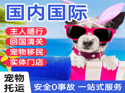乌鲁木齐地窝堡航空物流国际宠物托运 【国
